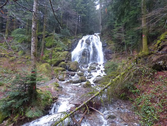 Cascade de la Goutte des Saules